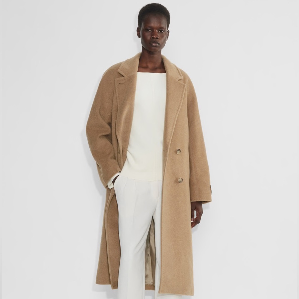 Aritzia Babaton Slouch Coat
